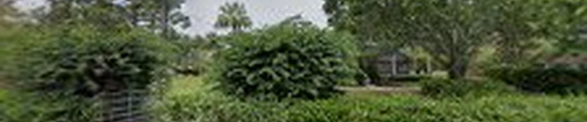 Forever Green Landscape Services