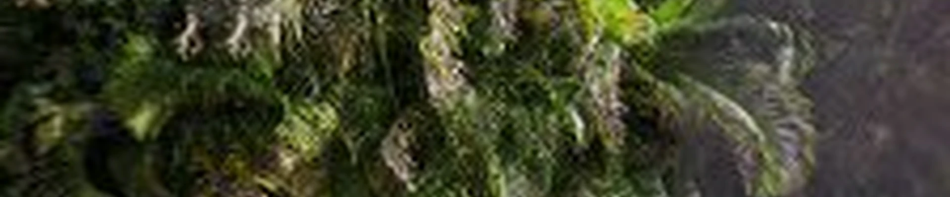 All Terrain Landscaping