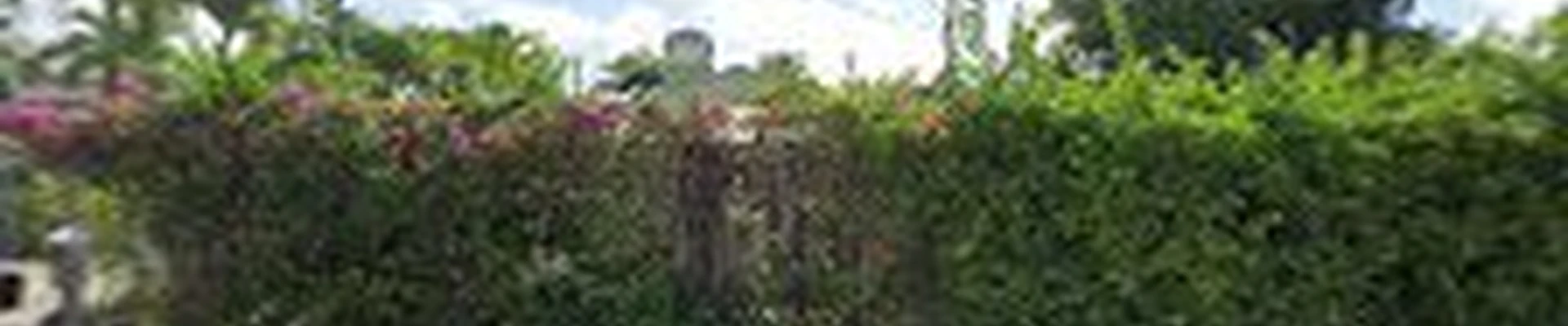 East Everglades Landscaping