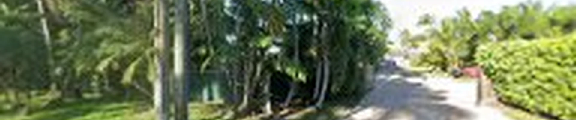 Pan American Landscaping, Inc.