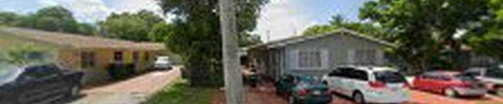 Absolute tree and landscaping