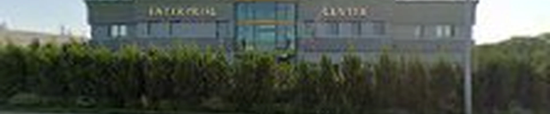 Felix's Tree and Landscaping LLC