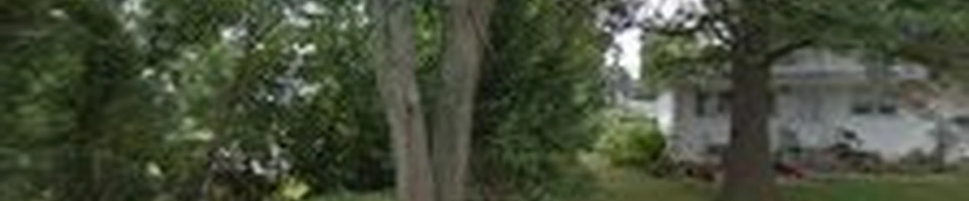 Martima landscaping llc