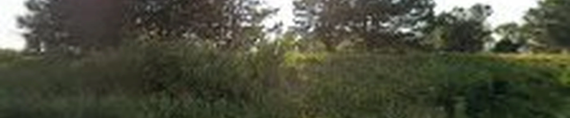 Canopy Gardens
