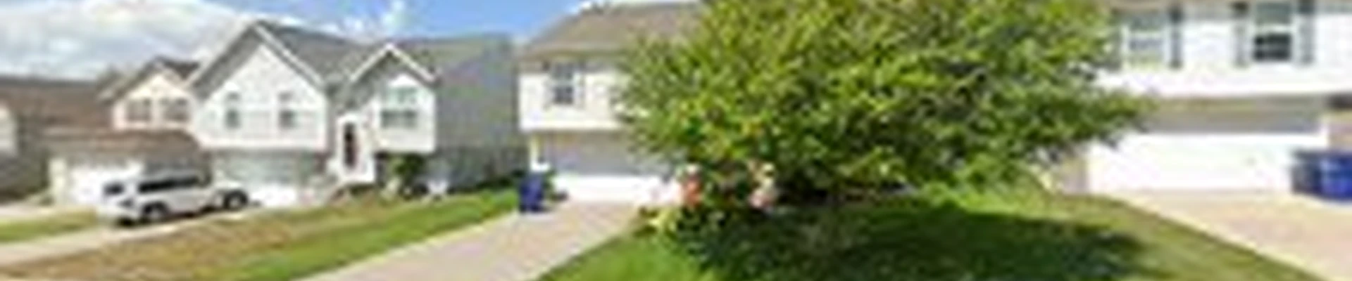 Lifetime Lawn and Landscaping LLC