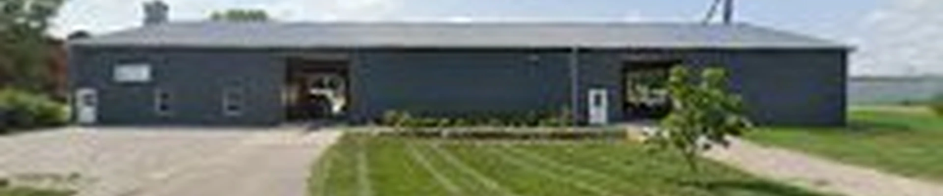 Healthy Turf Landscaping