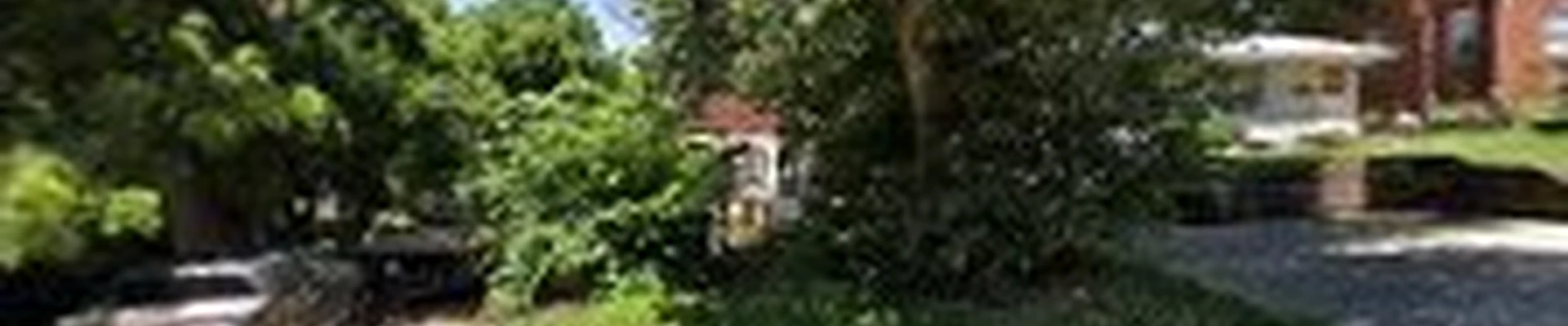 Will Potter Landscaping