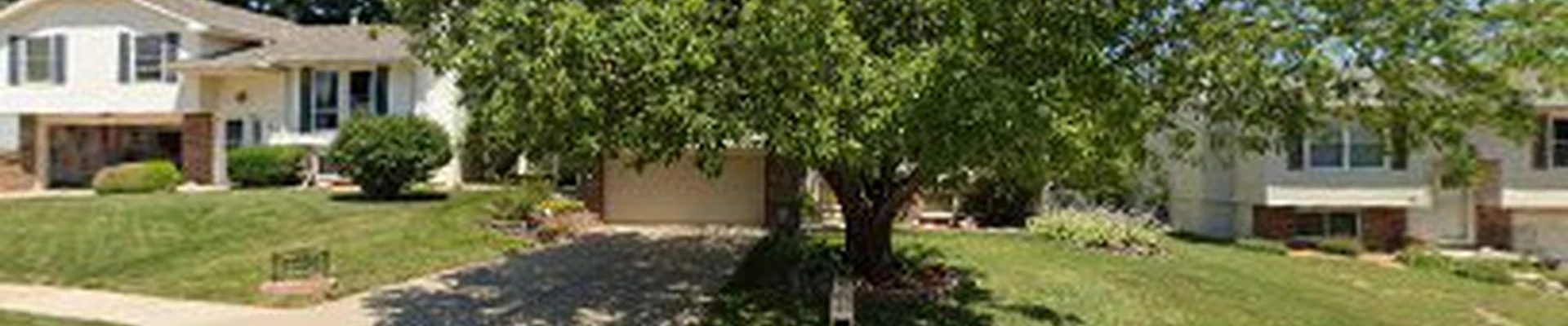 Professional Lawn & Landscape