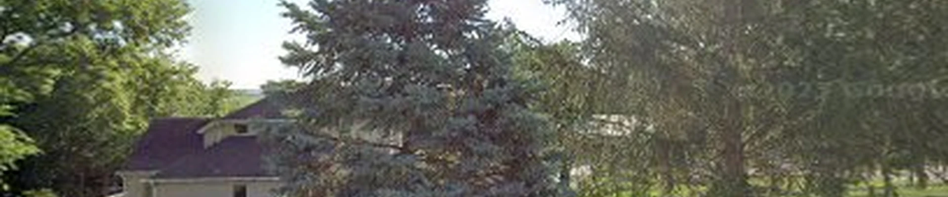 Roots Tree Service