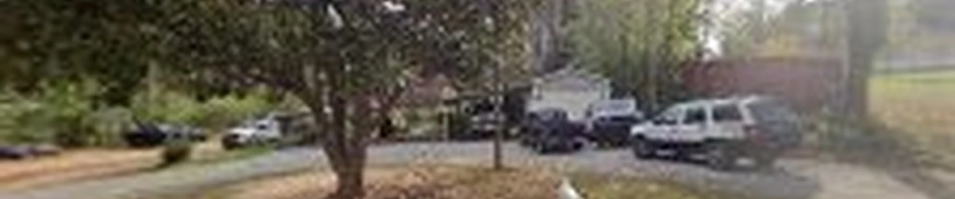 EDEN LANDSCAPING PRO