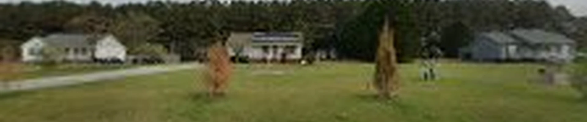 Engel Lawncare & Landscaping