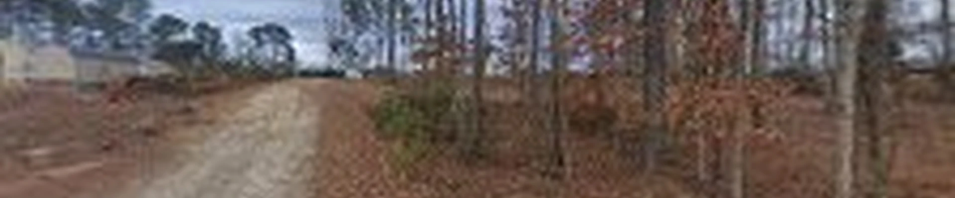 Yardscapes of NC