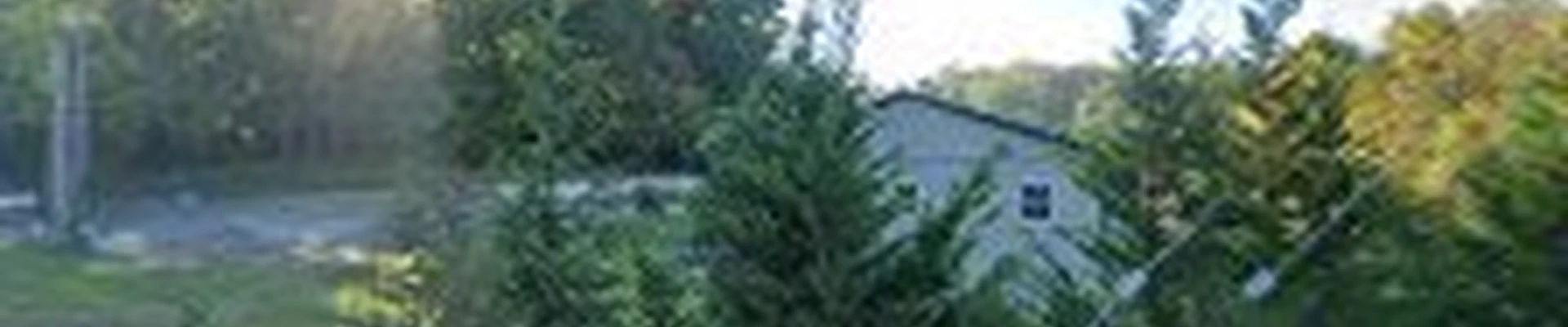LVJ Home Services
