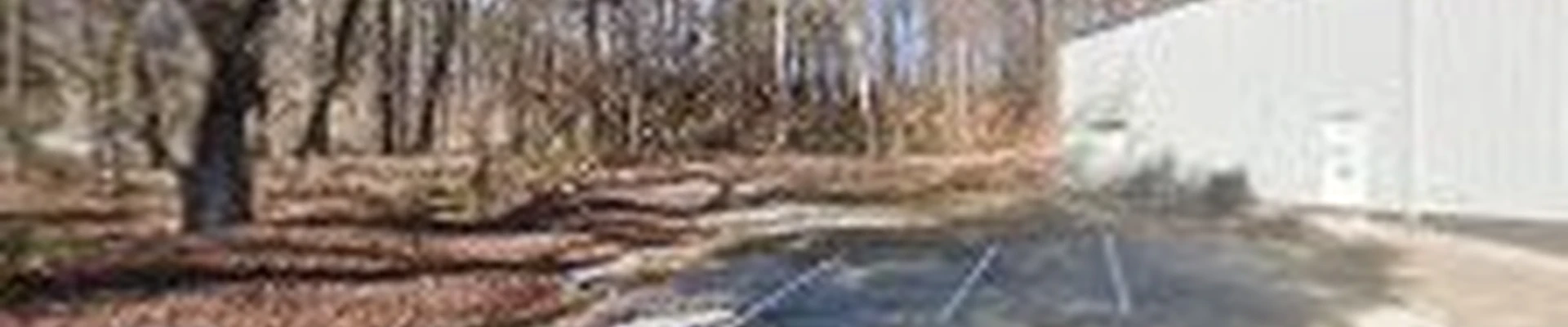Natural green landscaping LLC
