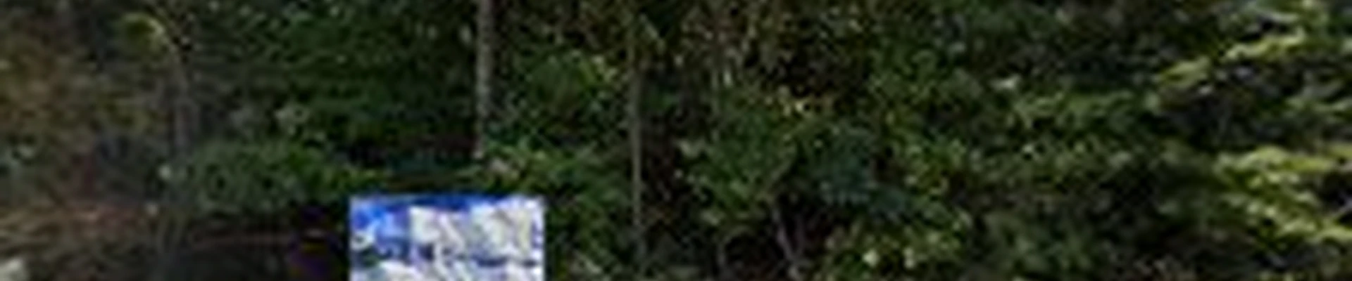 PROGREEN LANDSCAPE SOLUTIONS