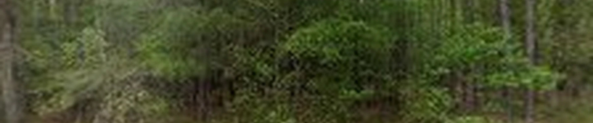 Allied Landscape Consultants