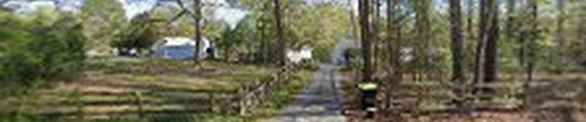 D.Santy Landscape LLC