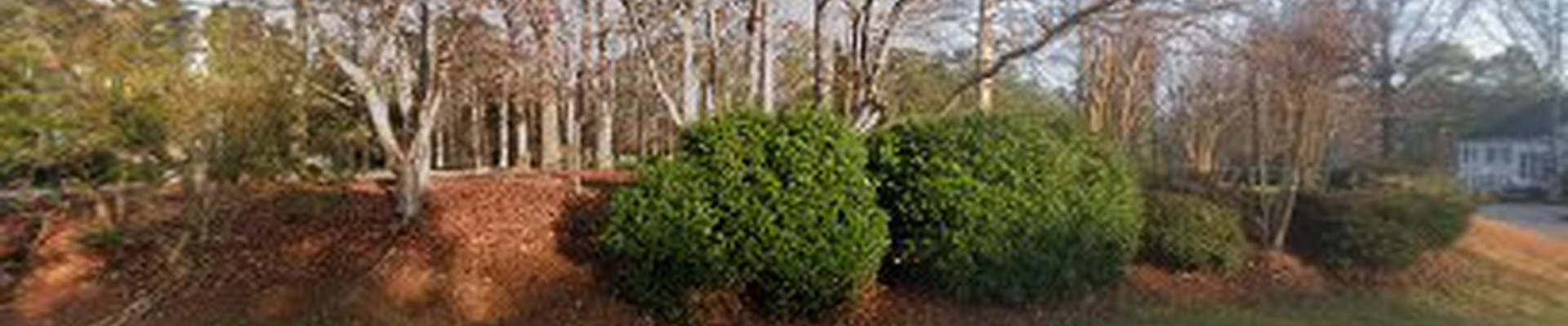Attention to Detail Landscaping