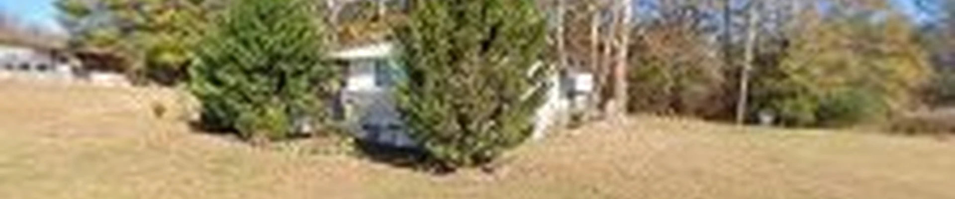 Yard Envy