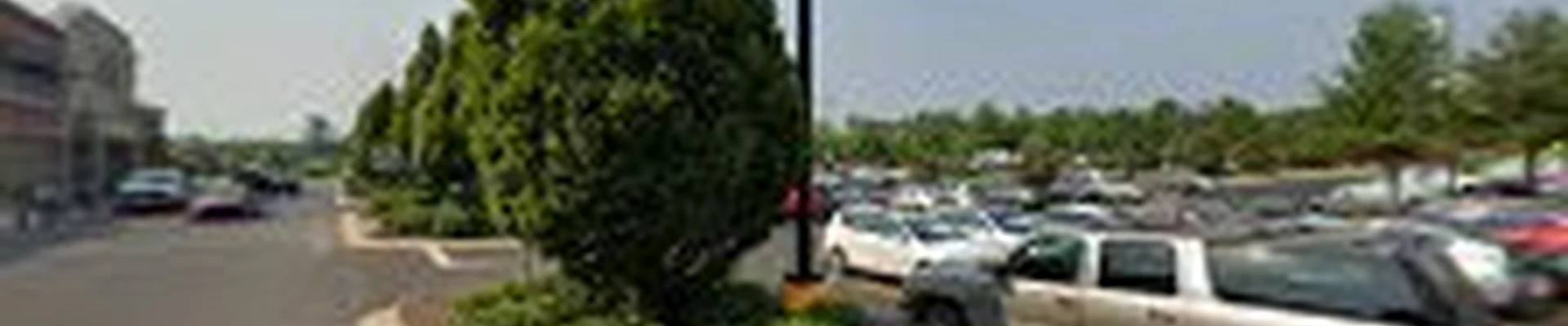 Walmart Garden Center