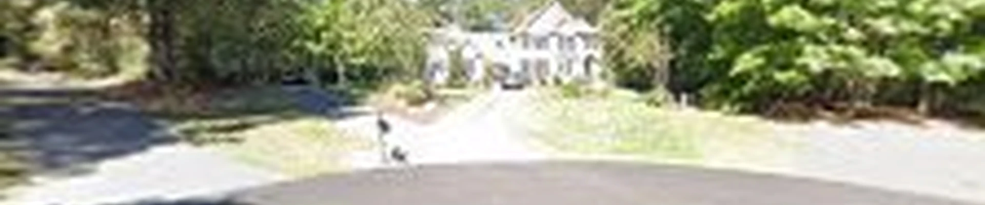 Vin DiPasquale Landscaping