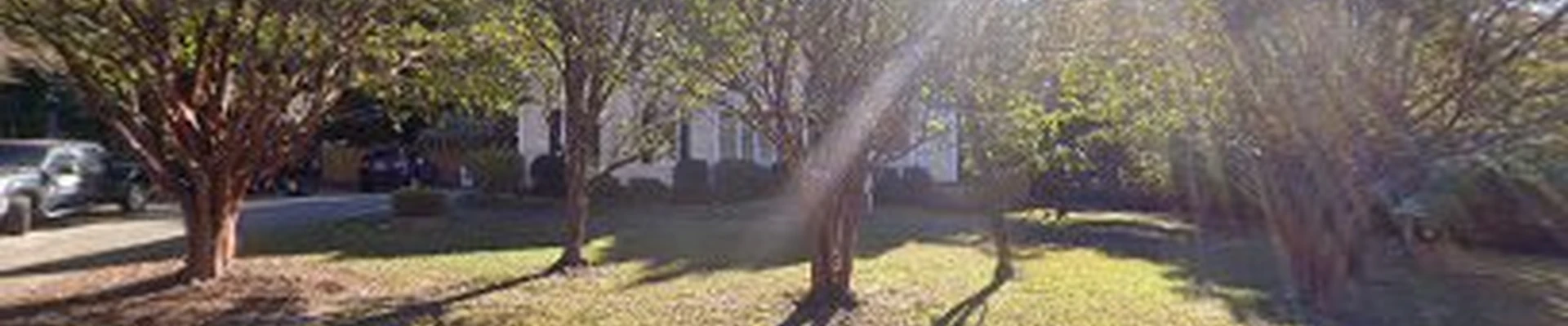 Holland and Sons Landscaping