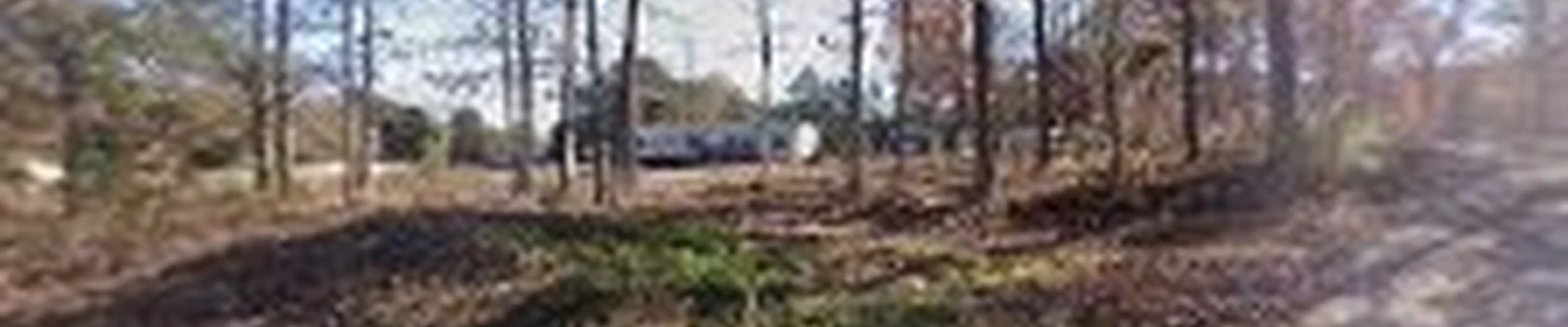 L&J Tree Care And Landscaping LLC