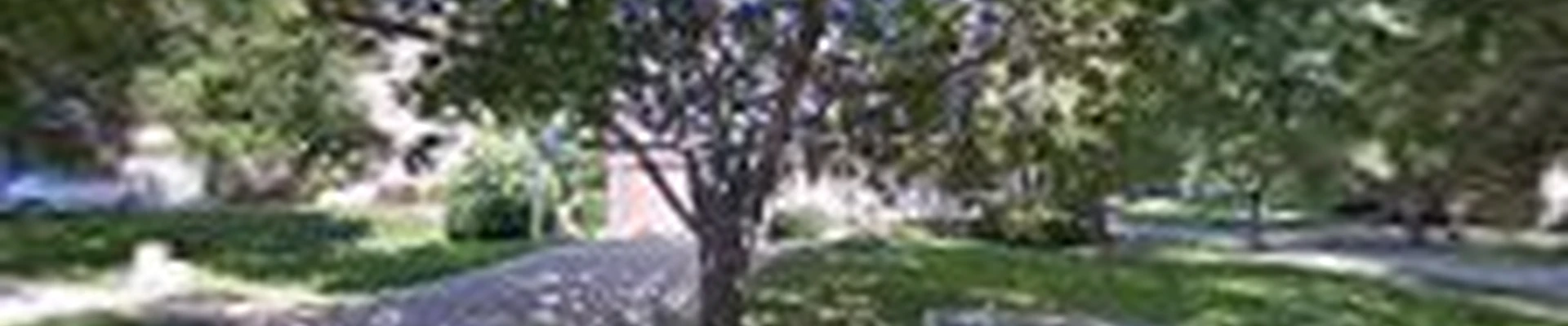 Lareau Landscape & Design