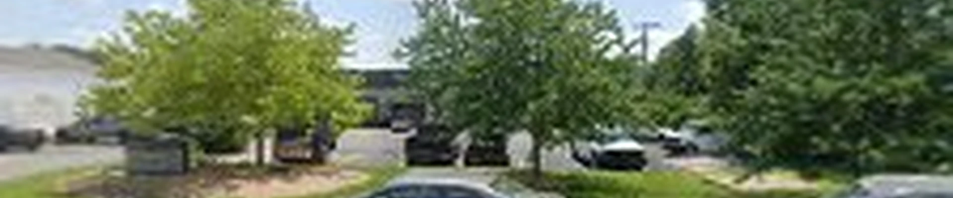 Low Maintenance Landscape, Inc.