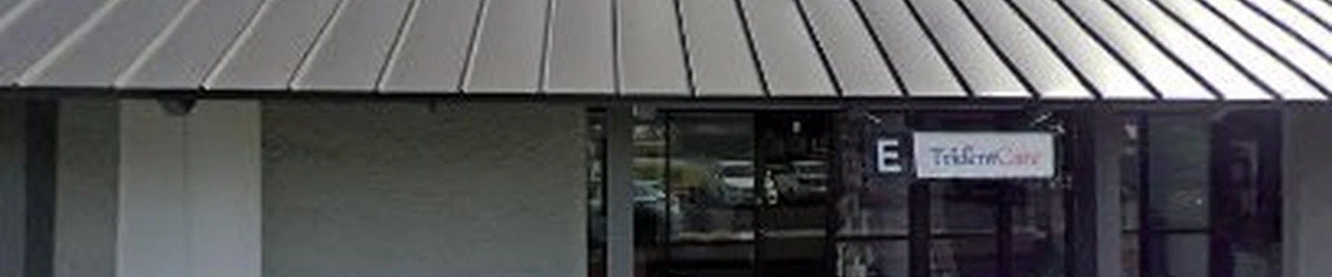 Action Landscape Services, Inc.