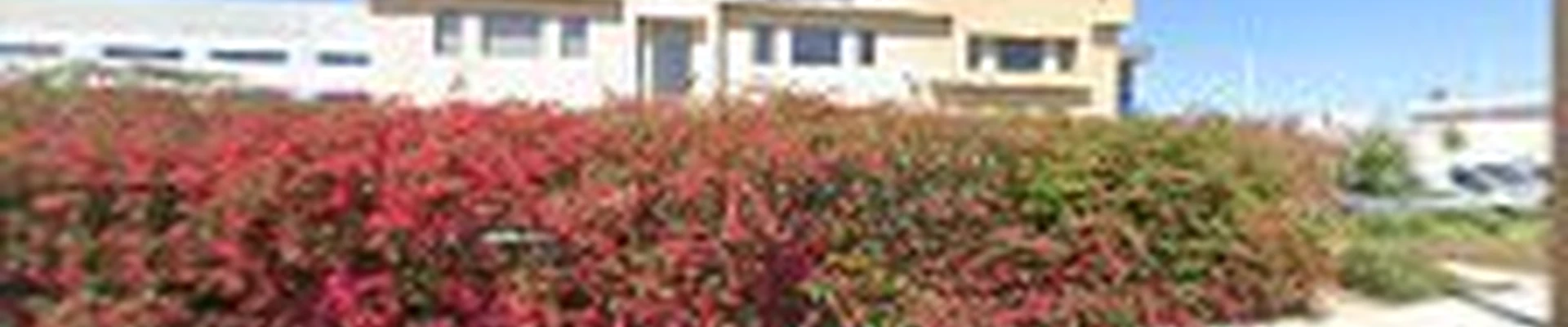 Reynaldo Landscape Inc.