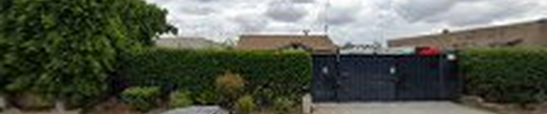 C&A Tree Care Services Inc