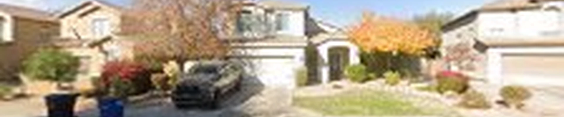 Wildcat Landscaping Services