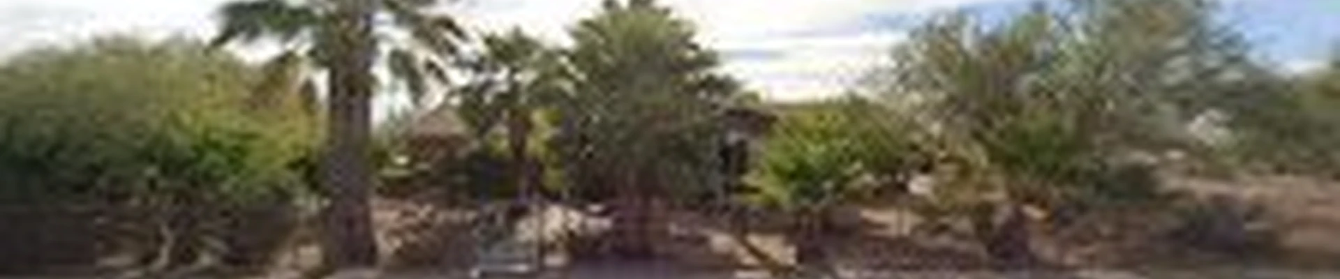 San Tan Pavers & Landscape