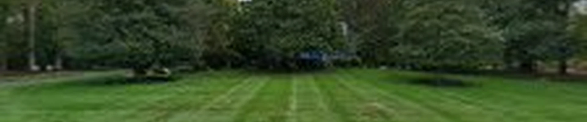 A Cut Above Landscaping