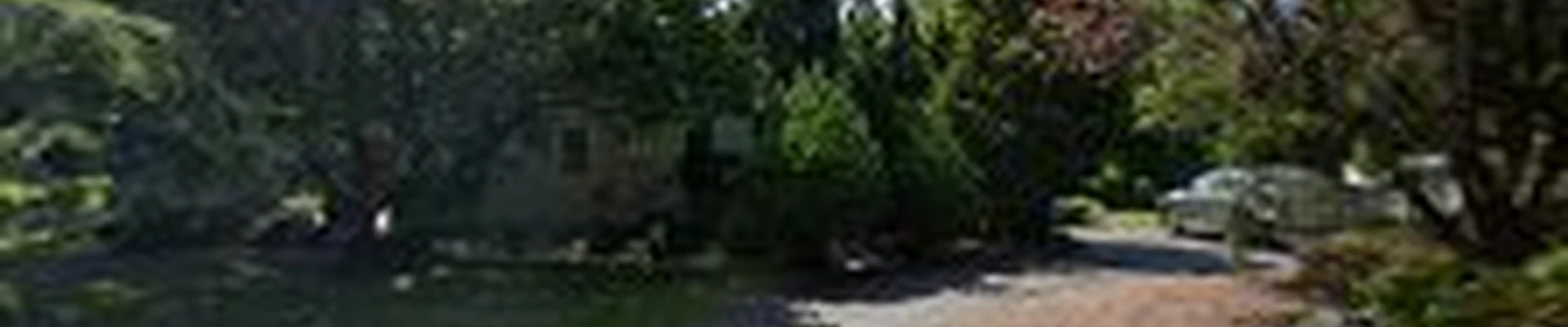 Modern View Landscaping