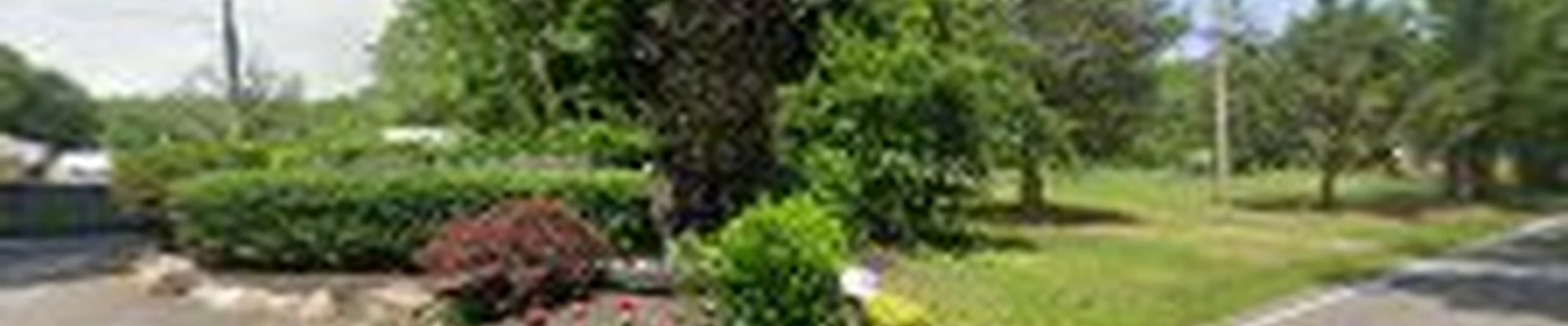 Intelliscape Landscaping and Lawn Care