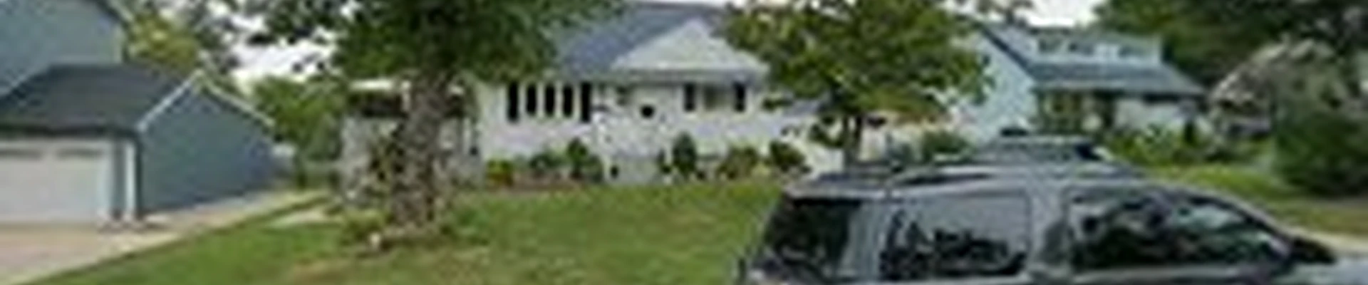 Quality tree service and landscaping