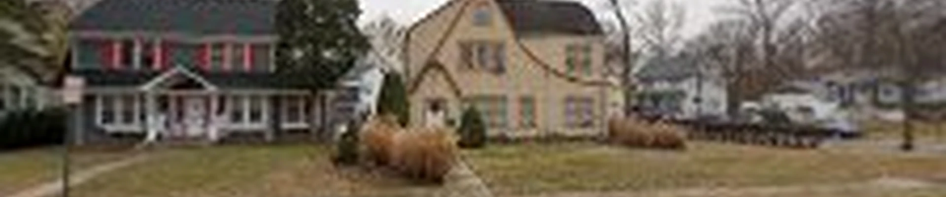 Castro Landscaping and tree service llc