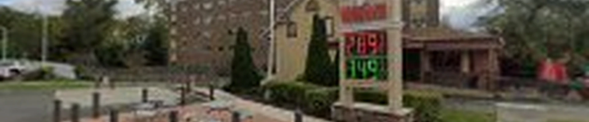Mateo Landscaping and Tree Service