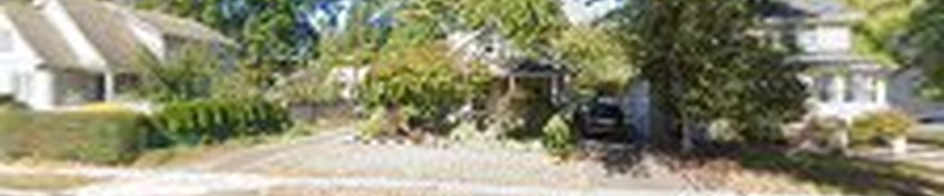 JOE THE WIZ Landscaping & Home Improvement