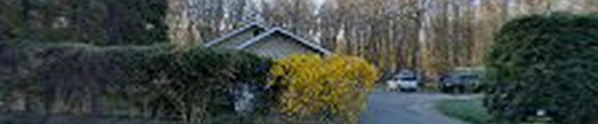 RG PREMIER LANDSCAPING