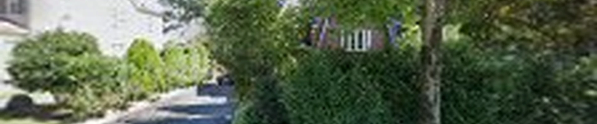 Vega Maintenance and Landscaping Inc.