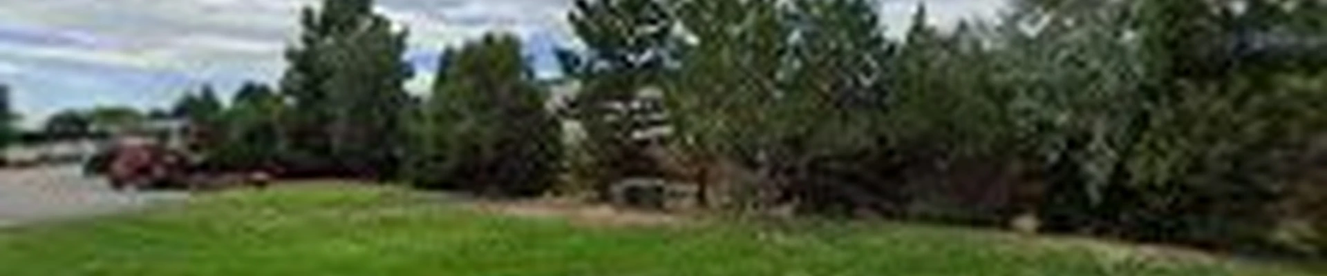 All Purpose Landscaping