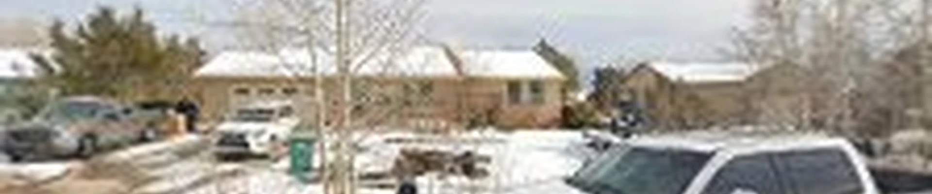 Magnus Landscaping Services