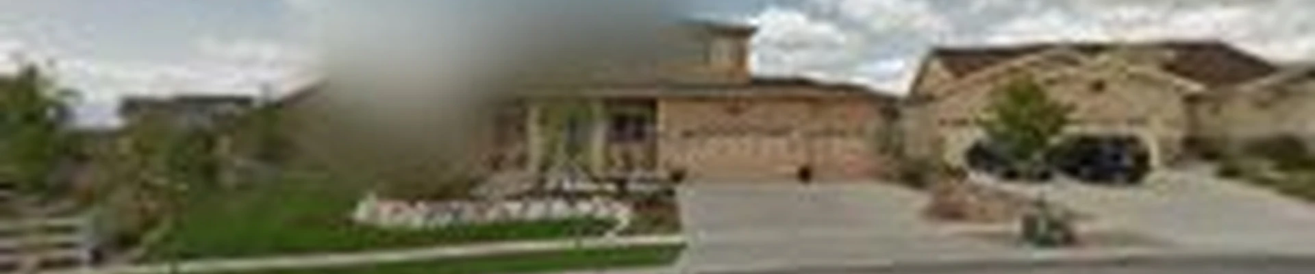 Pro Landscape & Design