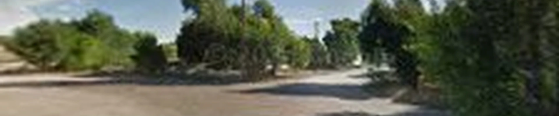 Hortus Tree & Landscape Services, Corp.