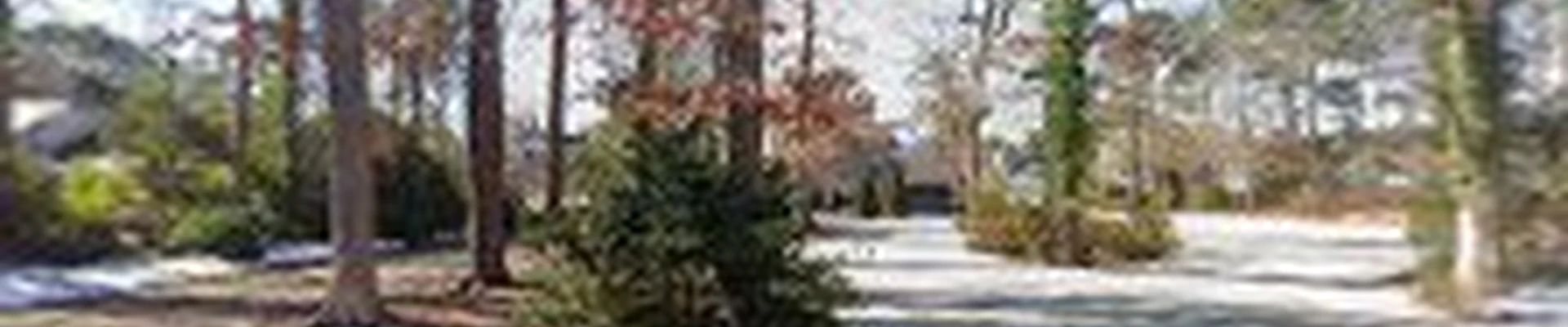 Seabreeze Landscaping