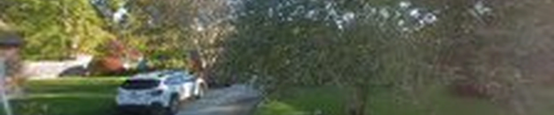 Beach Lawn and Landscapes, LLC.