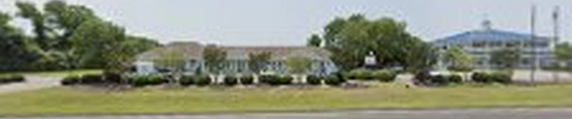 Living Oaks Landscaping, Inc.